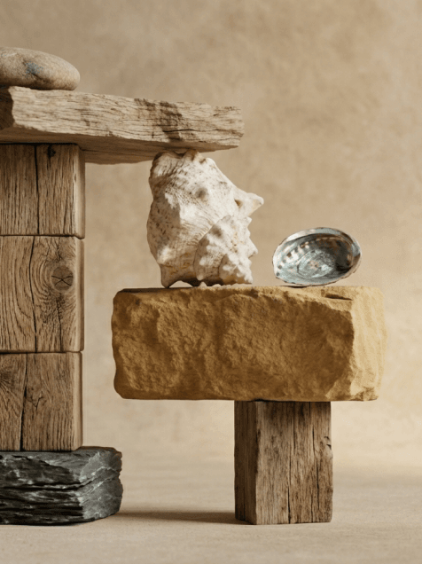A balanced still life composition of stacked weathered wood, rough stone blocks, a white conch shell, and an iridescent abalone shell against a light beige background.